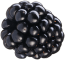 Blackberry accent graphic