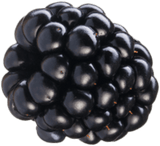 Blackberry accent graphic